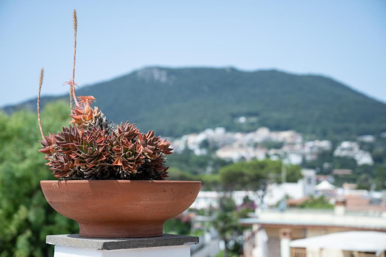 Vittoria Hotel San Felice Circeo